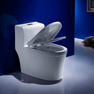 陶瓷坐便器如何挑選？